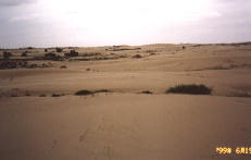 desert2
